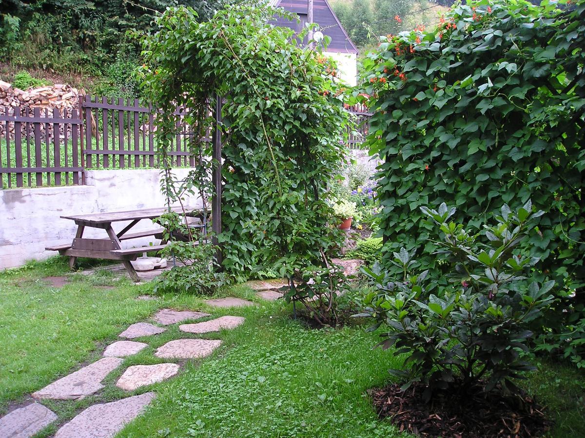 Apartman Svoboda Svoboda nad Úpou エクステリア 写真